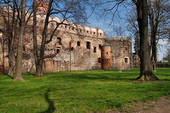 Schlossruine von Sden
